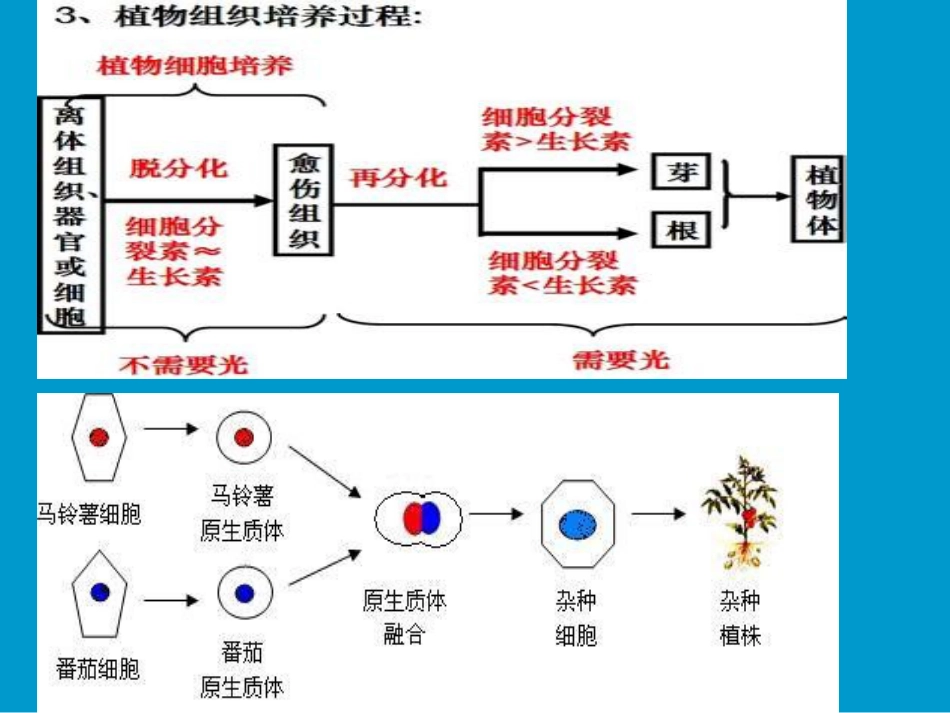 2-1-2_植物细胞工程的实际应用_第3页