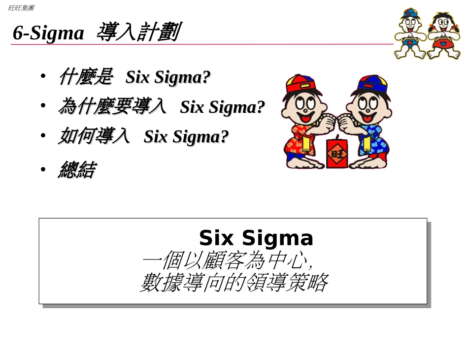 6-Sigma导入计划_第1页