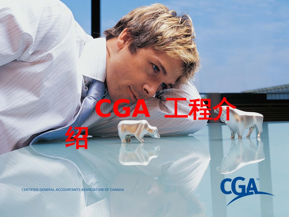 CGA项目介绍(精简)_第1页