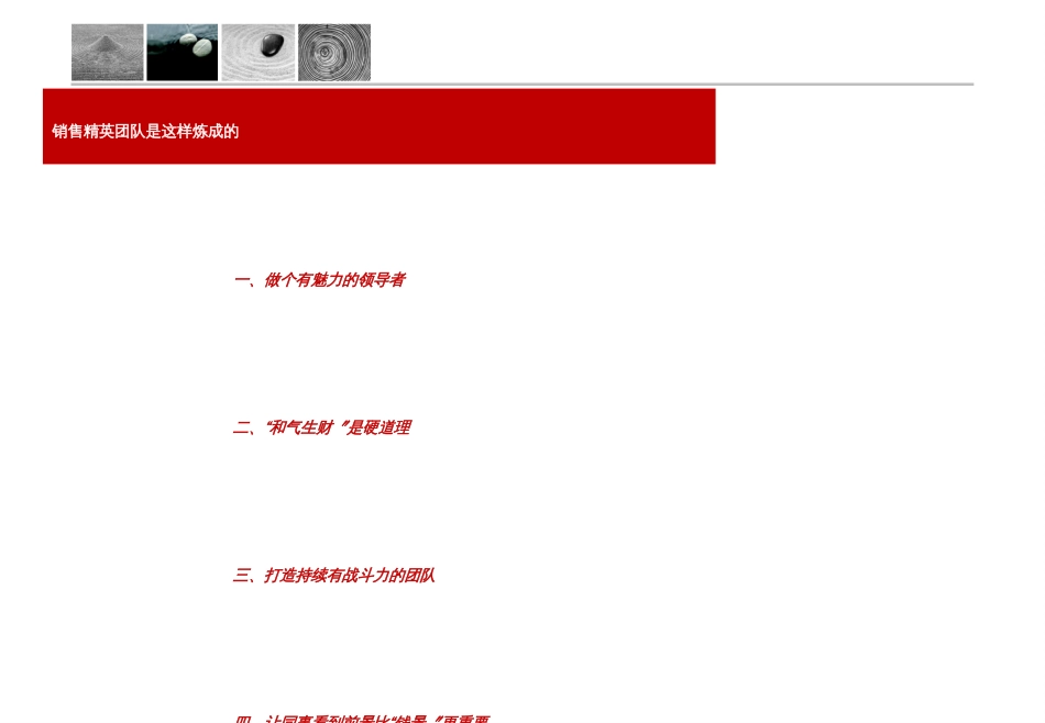 4销售精英团队是这样炼成的_东莞段_第3页