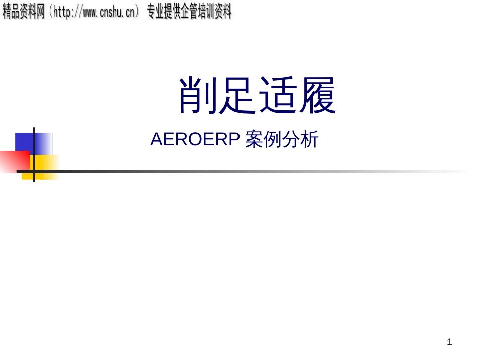 aero's_erp_第1页