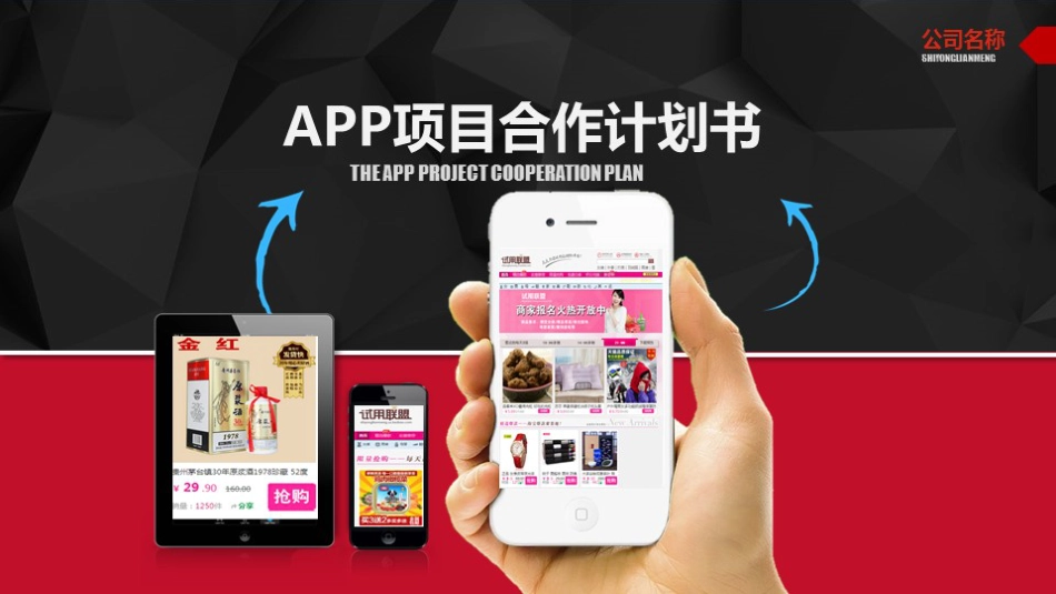 APP手机营销策划融资报告投资计划_第1页