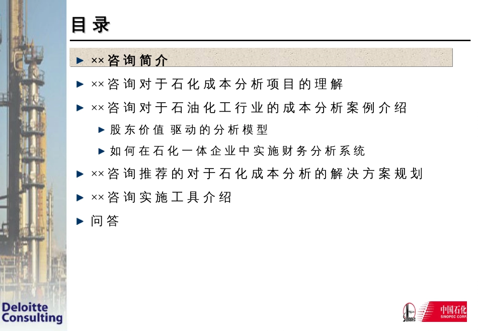 ××财务控制方案(1)_第2页