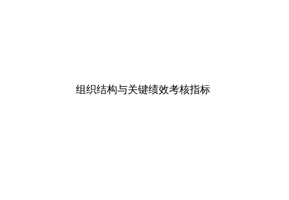 177波士顿咨询_某大型集团组织结构于与关键绩效考核指_第1页