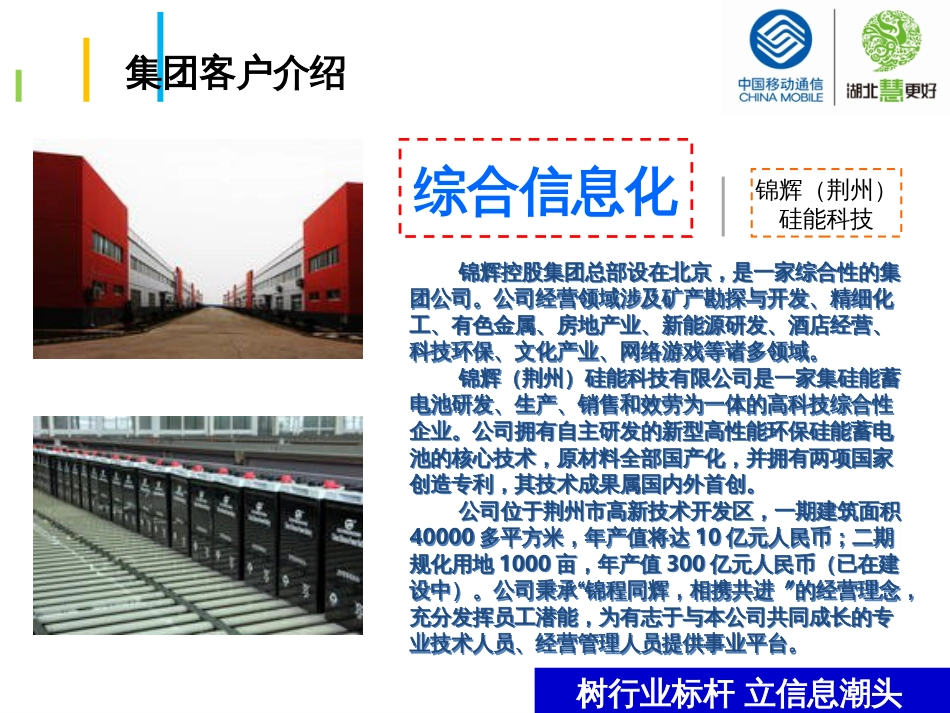 “综合信息化”项目_第2页