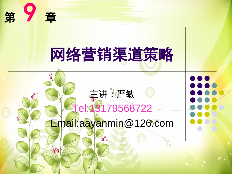 chapter9网络营销渠道策略_第1页