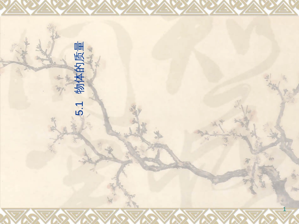 51物体的质量_第1页