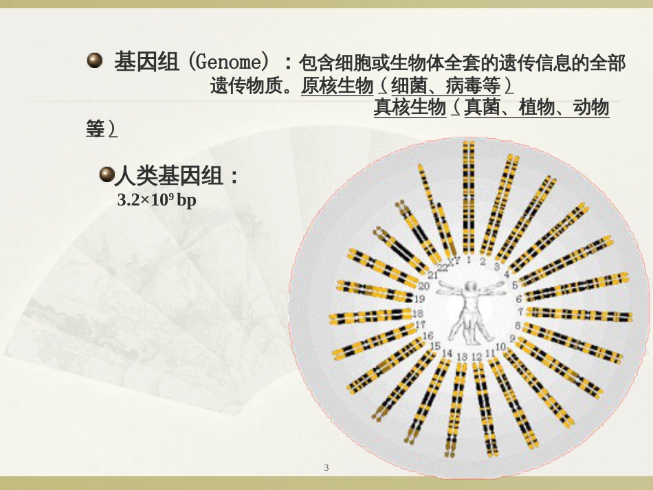 6 应用生物技术(第六部分)3_第3页