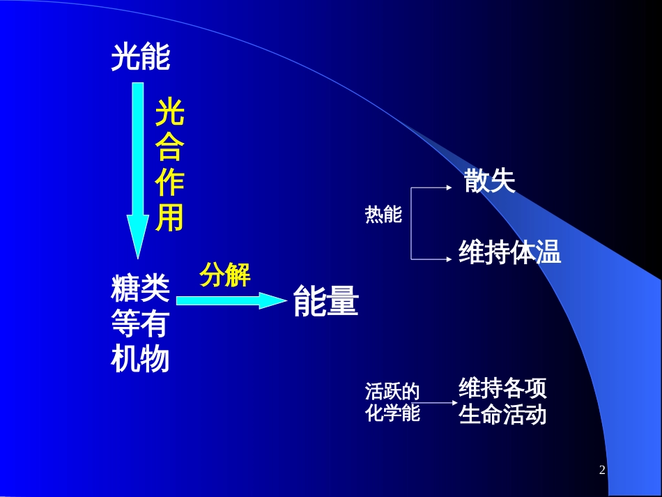 1下列哪些有机化合物是细胞的主要能源物质_第2页