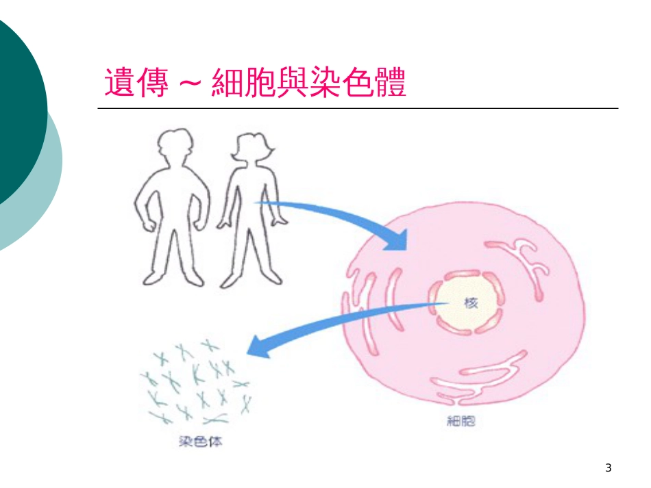 ~基因改造生物_第3页