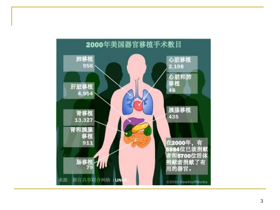 51-主要组织相容性复合体_第3页