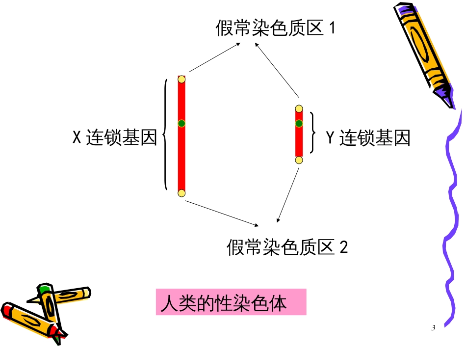 5连锁遗传分析_第3页