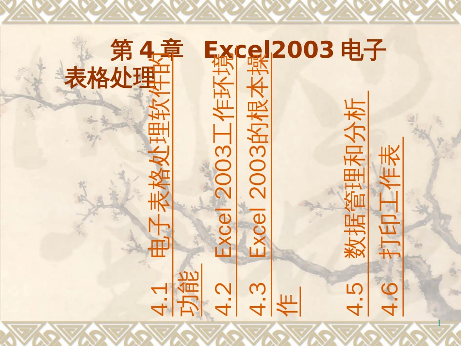 Excel2003电子表格处理_第1页