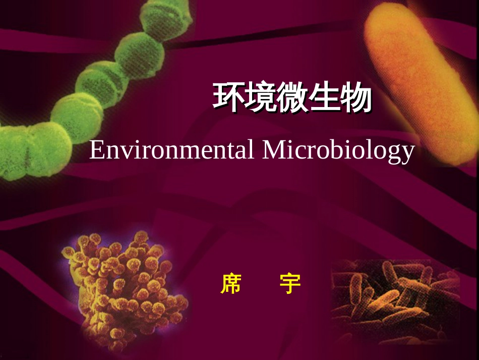 9环境微生物学_第1页