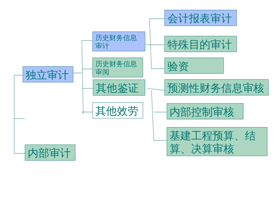 1特殊目的审计_第1页