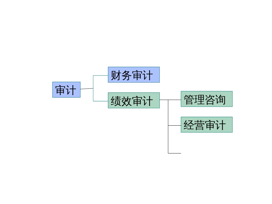 1特殊目的审计_第2页