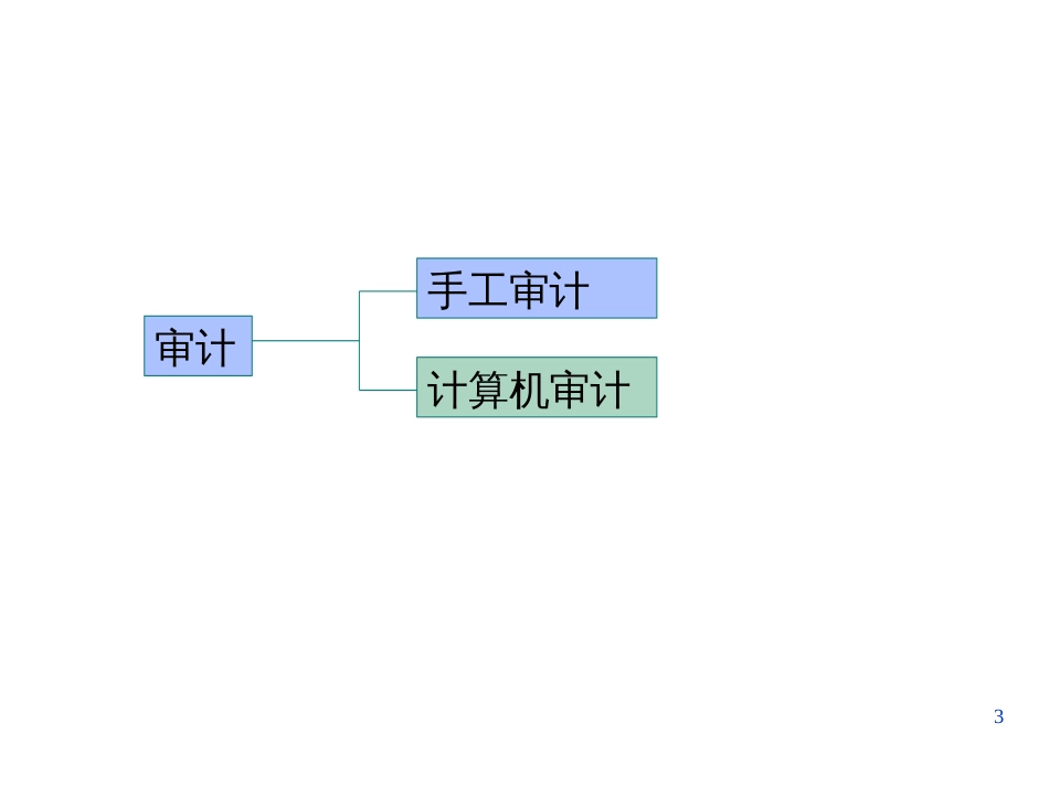 1特殊目的审计_第3页