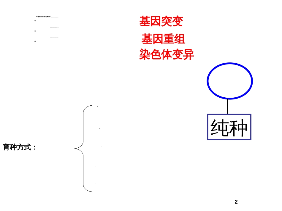 61从杂交育种到基因工程_第2页