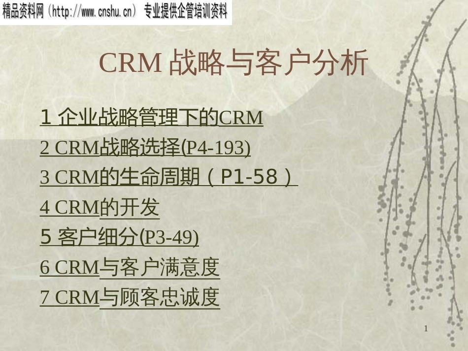 CRM战略与客户分析(ppt32)_第1页