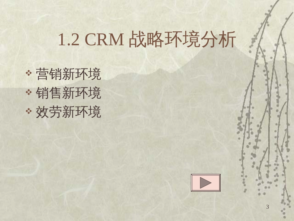 CRM战略与客户分析(ppt32)_第3页