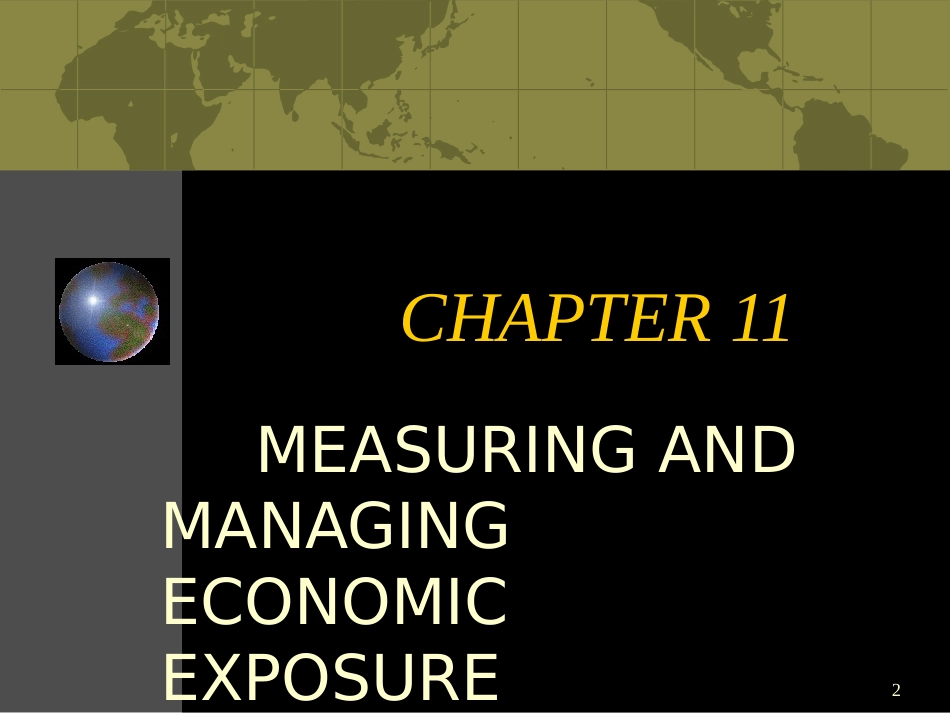 ANDMANAGINGECONOMICEXPOSURE(跨国公司财务管理-_第2页