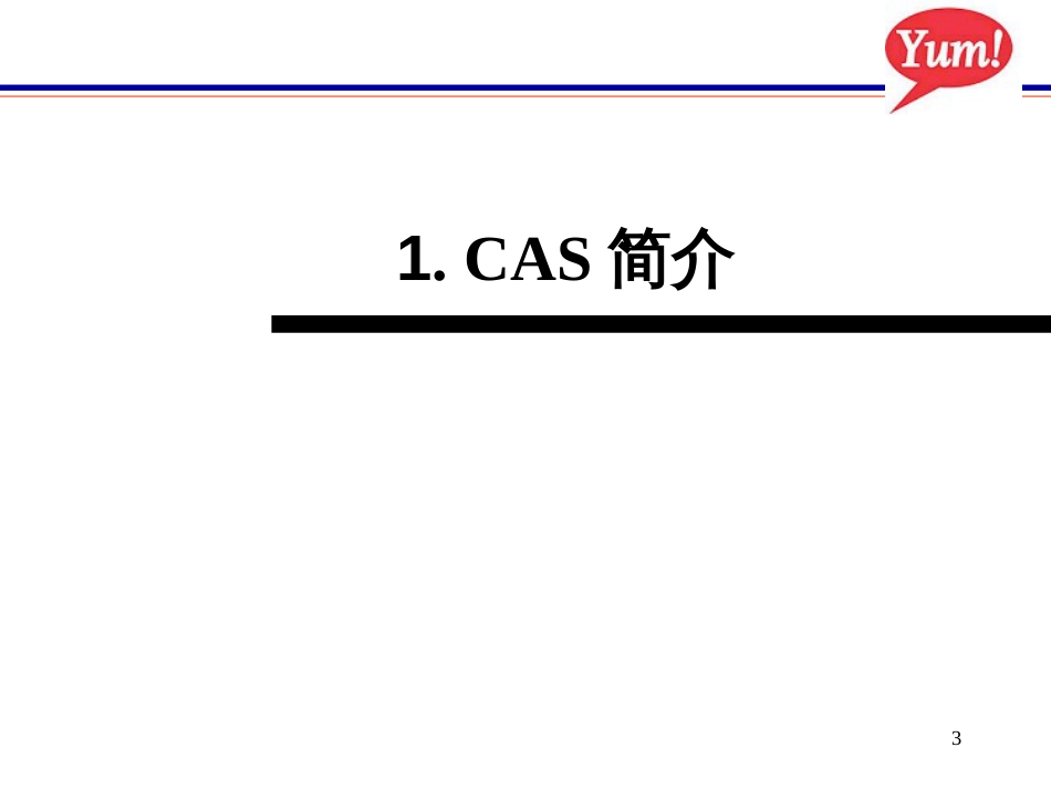 CAS培训-KFC-LSM_第3页