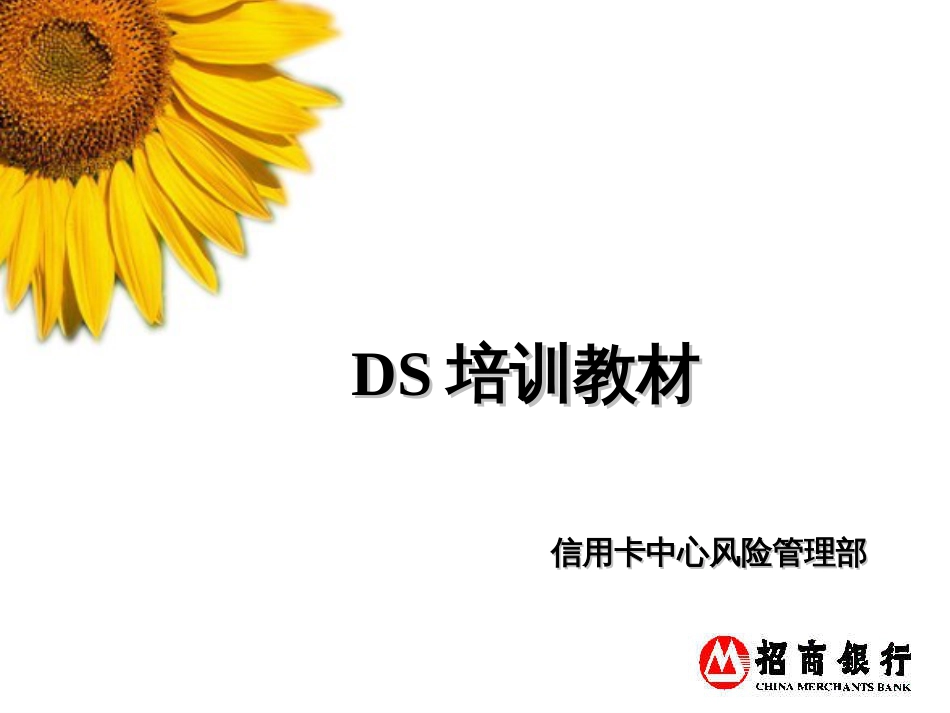 DS征信培训教材修正版(PPT 28页)_第1页