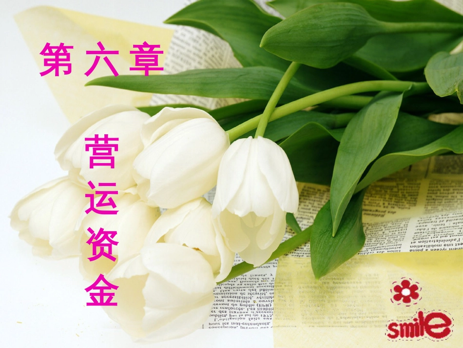 6章 营运资金投资_第1页