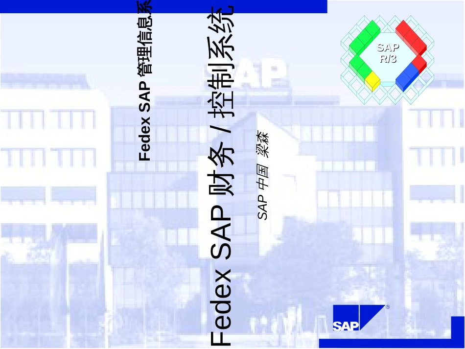 FedexSAP财务控制系统(ppt46)_第1页