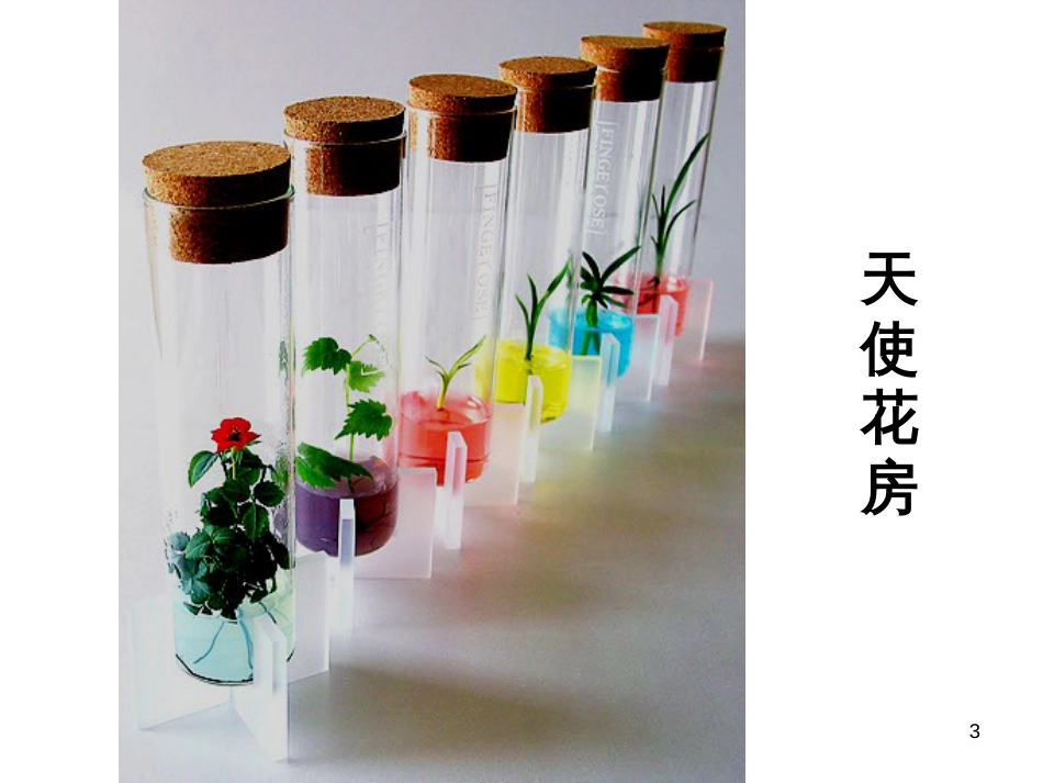 21植物细胞工程_第3页