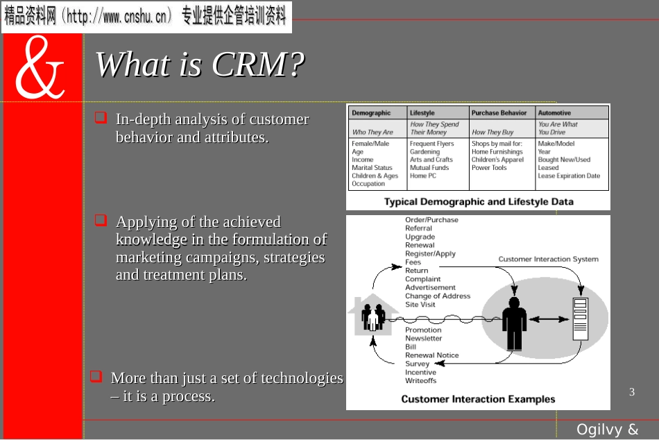 CRM-奥美(PPT36页)_第3页