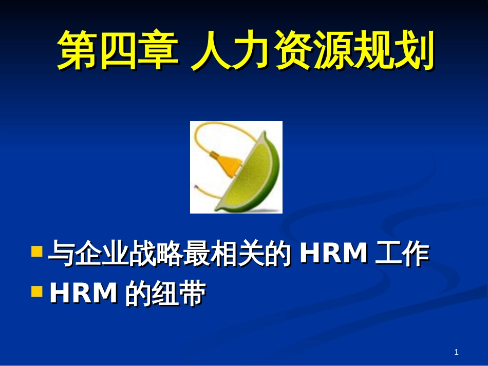 04人力资源规划_第1页