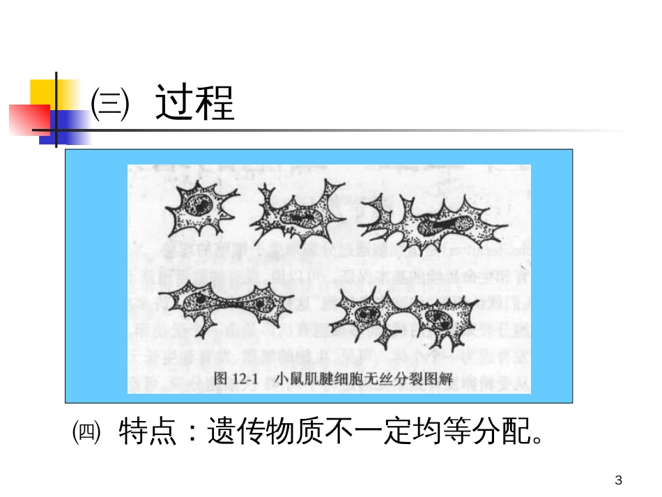 chapter10-医学细胞生物学_第3页
