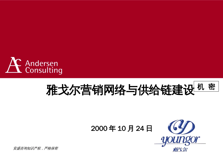 ac安盛咨询—雅戈尔营销网络建设咨询报告_第1页