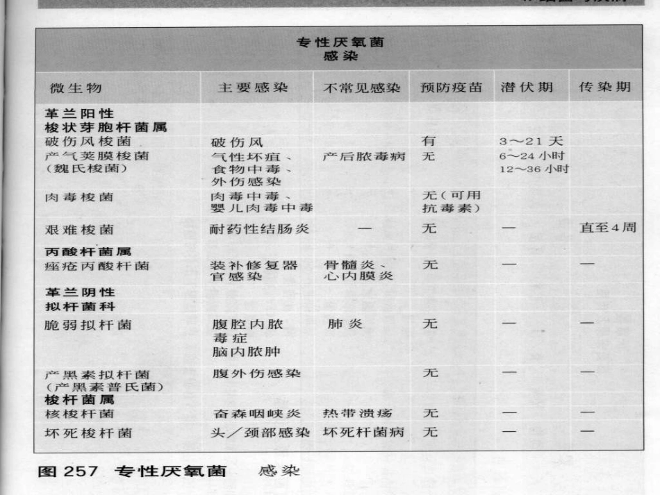 1、病原性真菌检验 临床微生物学 (第三军医大学_第3页