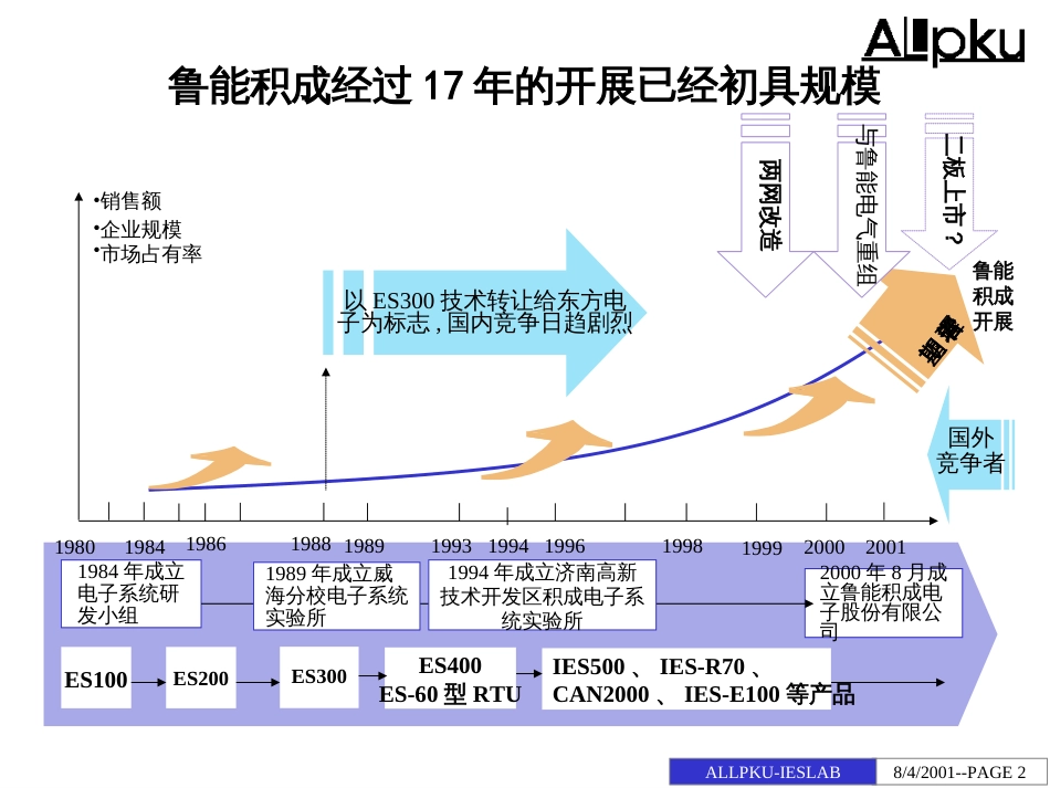 BDZH--鲁能战略梳理报告_第2页