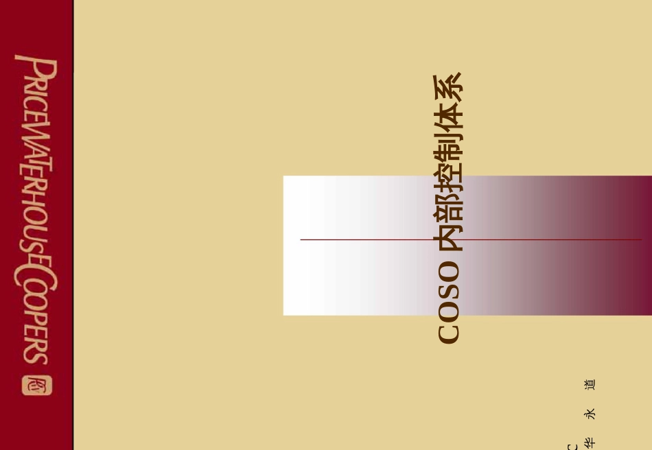 COSO内部控制体系及应用_第3页