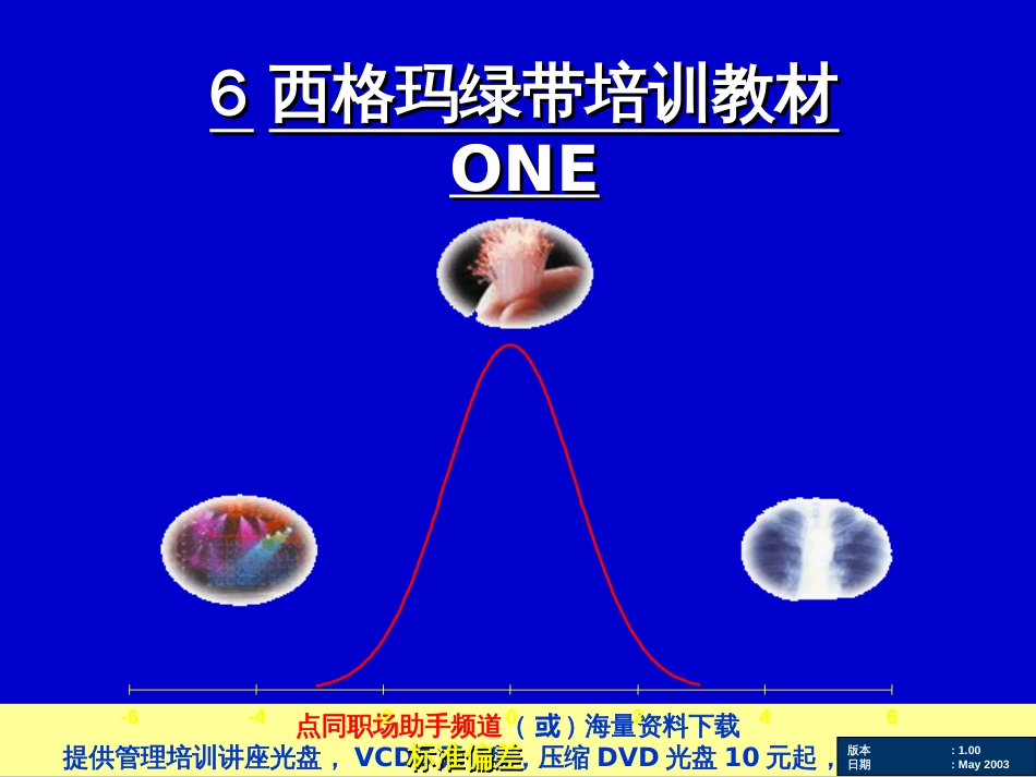 6西格玛绿带培训教材(1)_第1页