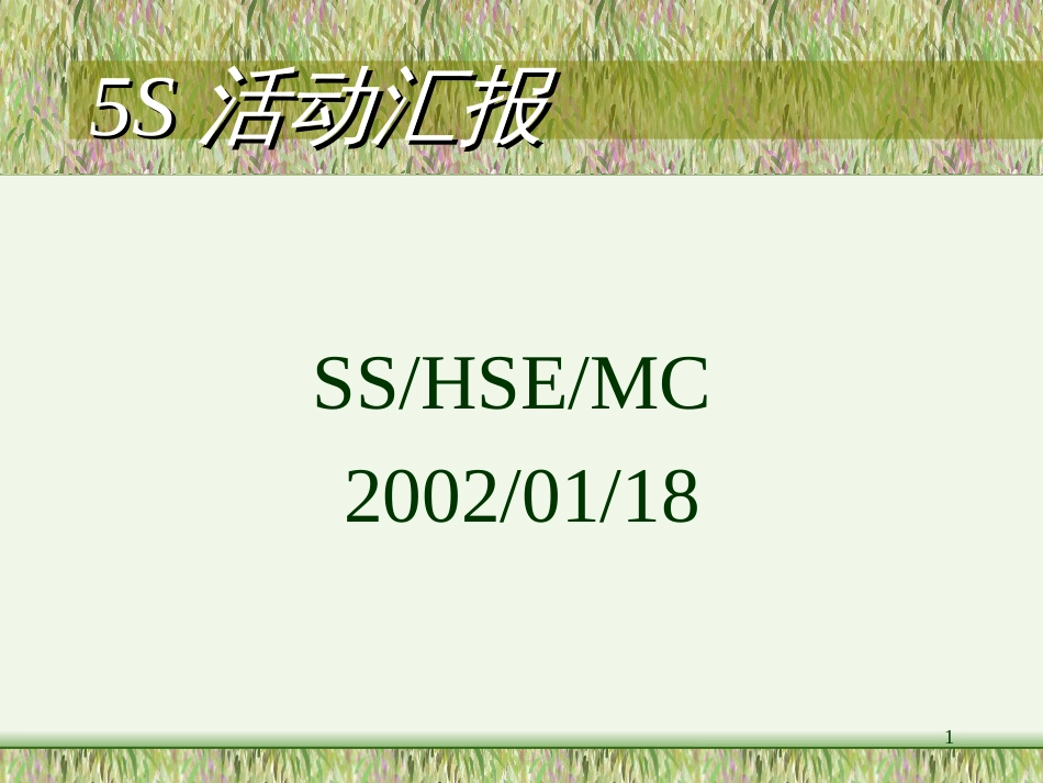 5S Site Service_第1页