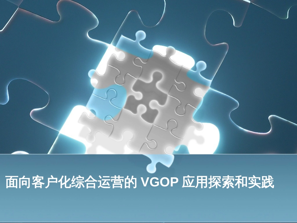 a2向客户化综合运营的VGOP应用探索和实践_第1页