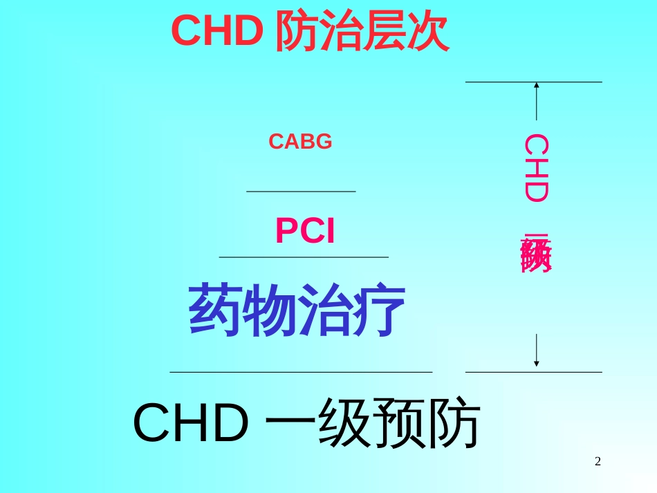 CHD合理用药及误区_第2页