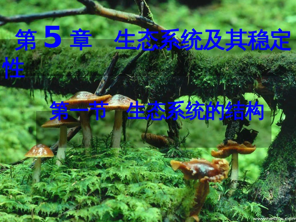 5—1生态工程的基本原理_第1页