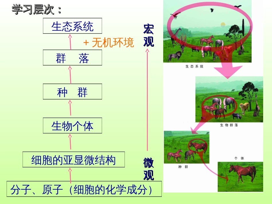 5—1生态工程的基本原理_第2页