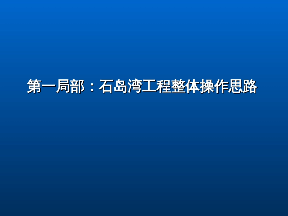 214_复合地产_大盘_滨海生活区_操作流程_第2页