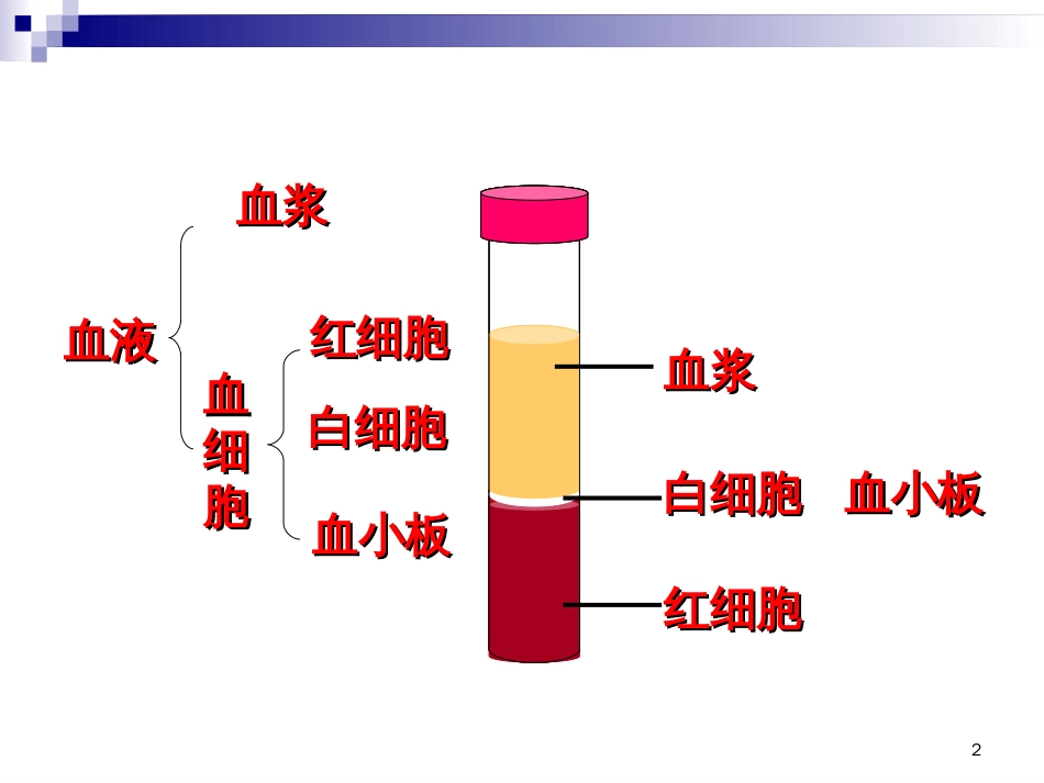 32物质运输的器官_第2页