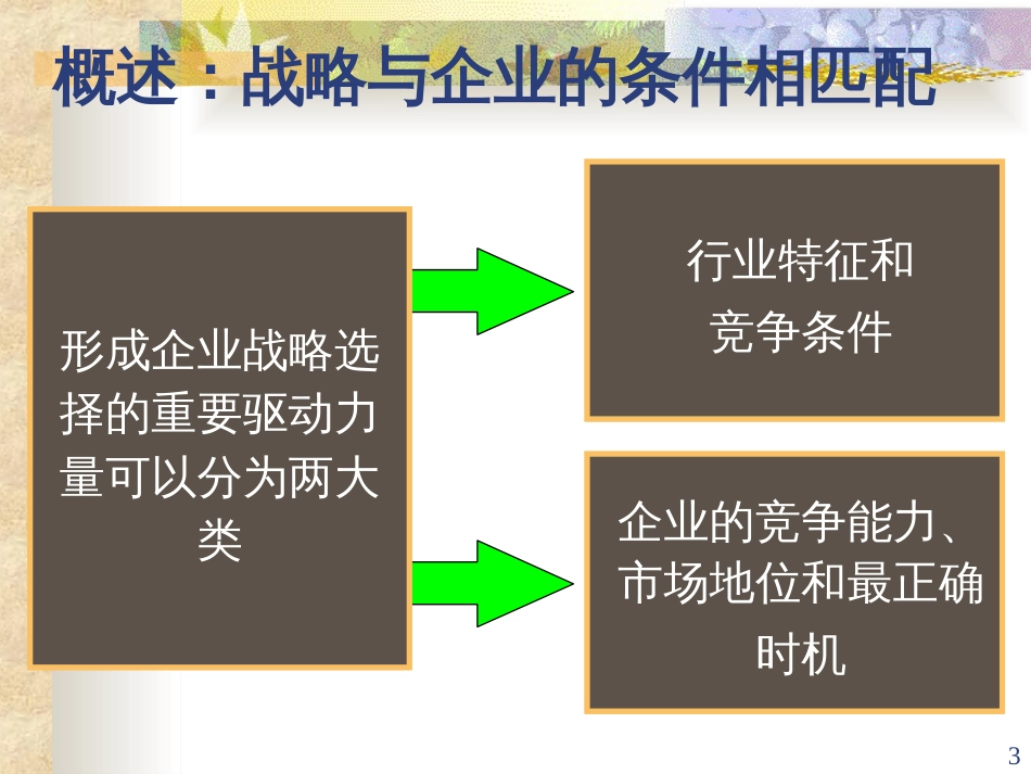 B9战略选择(本科-9)_第3页