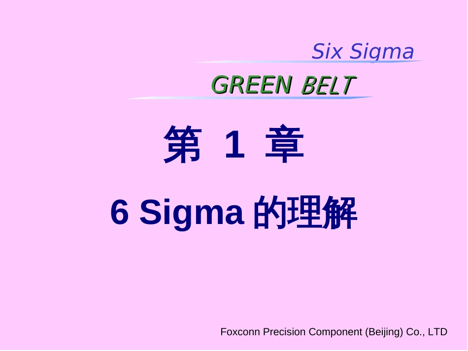 16Sigmaconception_第2页