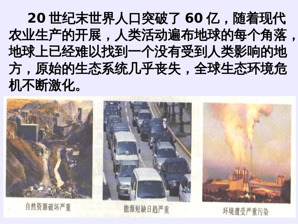 51_生态工程的基本原理_第2页