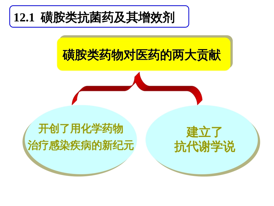 12第12章合成抗菌药及抗病毒药_第3页