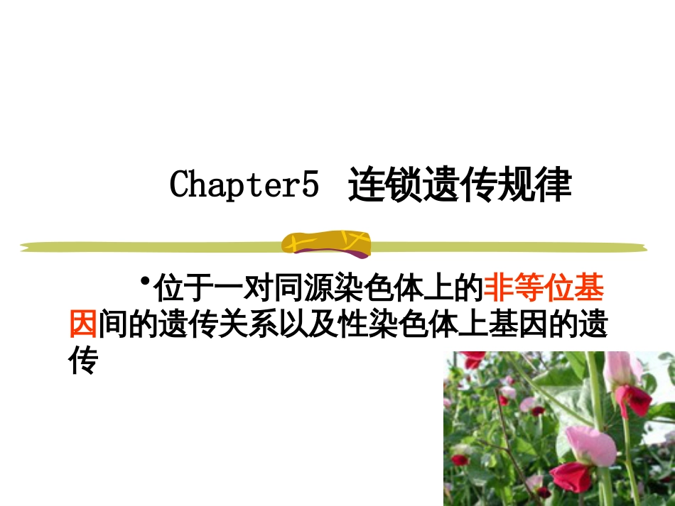 Chapter5连锁遗传规律_第1页